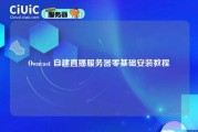 Owncast 自建直播服务器零基础安装教程