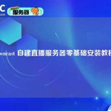 Owncast 自建直播服务器零基础安装教程