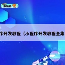 小程序开发教程（小程序开发教程全集免费）