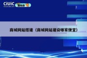 商城网站搭建（商城网站建设哪家便宜）