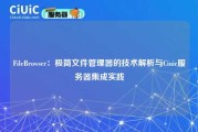 FileBrowser：极简文件管理器的技术解析与Ciuic服务器集成实践