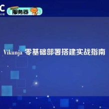 Vikunja 零基础部署搭建实战指南