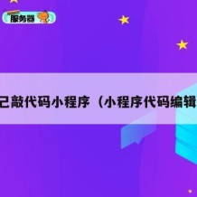 自己敲代码小程序（小程序代码编辑器）
