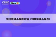 如何搭建小程序店铺（如果搭建小程序）