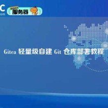 Gitea 轻量级自建 Git 仓库部署教程