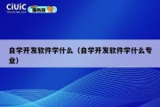 自学开发软件学什么（自学开发软件学什么专业）
