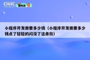 小程序开发需要多少钱（小程序开发需要多少钱点了轻轻的闪没了这条街）