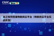 自己如何搭建物联网云平台（物联网云平台实战开发）