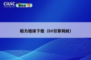 磁力链接下载（bt引擎蚂蚁）