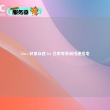 Gitea 轻量自建 Git 仓库零基础搭建指南
