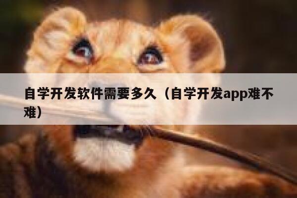自学开发软件需要多久（自学开发app难不难） 第1张