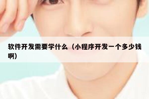 软件开发需要学什么（小程序开发一个多少钱啊） 第1张