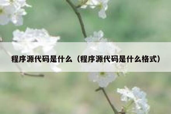 程序源代码是什么（程序源代码是什么格式） 第1张