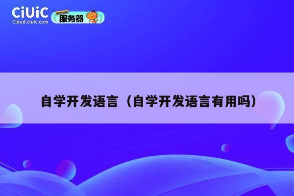 自学开发语言（自学开发语言有用吗） 第1张
