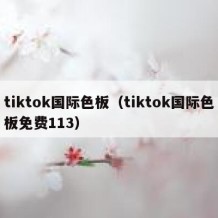 tiktok国际色板（tiktok国际色板免费113）
