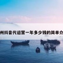 柳州抖音代运营一年多少钱的简单介绍