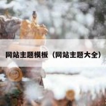 网站主题模板（网站主题大全）