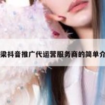 吕梁抖音推广代运营服务商的简单介绍