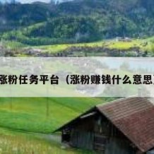 涨粉任务平台（涨粉赚钱什么意思）