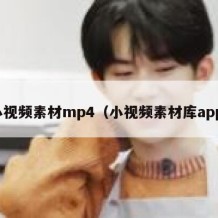 小视频素材mp4（小视频素材库app）
