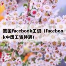 美国facebook工资（facebook中国工资待遇）