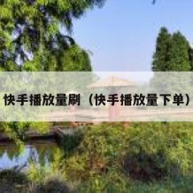 快手播放量刷（快手播放量下单）
