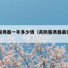 高防服务器一年多少钱（高防服务器最佳配置）