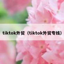 tiktok外贸（tiktok外贸专线）