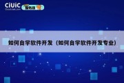 如何自学软件开发（如何自学软件开发专业）