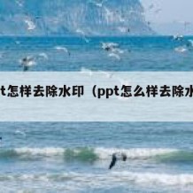 ppt怎样去除水印（ppt怎么样去除水印）