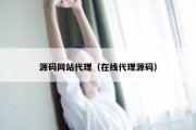 源码网站代理（在线代理源码）