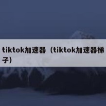 tiktok加速器（tiktok加速器梯子）