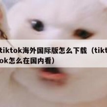 tiktok海外国际版怎么下载（tiktok怎么在国内看）