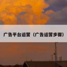 广告平台运营（广告运营步骤）