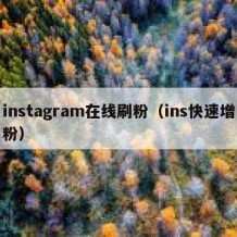 instagram在线刷粉（ins快速增粉）