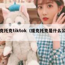 提克托克tiktok（提克托克是什么公司）