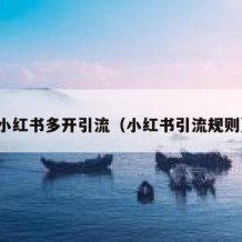 小红书多开引流（小红书引流规则）