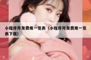 小程序开发费用一览表（小程序开发费用一览表下载）