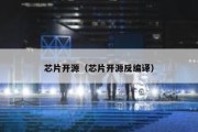 芯片开源（芯片开源反编译）