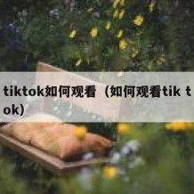 tiktok如何观看（如何观看tik tok）