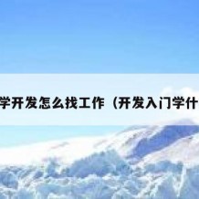 自学开发怎么找工作（开发入门学什么）
