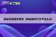 网站实用插件推荐（网站插件打不开怎么办）