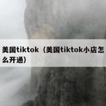 美国tiktok（美国tiktok小店怎么开通）