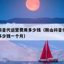 鞍山抖音代运营费用多少钱（鞍山抖音代运营费用多少钱一个月）