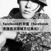 facebook的市值（facebook市值首次突破万亿美元）