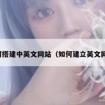 如何搭建中英文网站（如何建立英文网站）