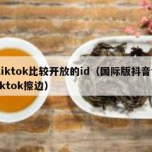 tiktok比较开放的id（国际版抖音tiktok擦边）