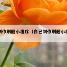 自己制作刷题小程序（自己制作刷题小程序教程）