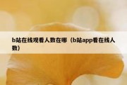 b站在线观看人数在哪（b站app看在线人数）