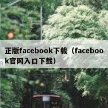 正版facebook下载（facebook官网入口下载）